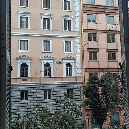 Domus Conte By Local Domus *